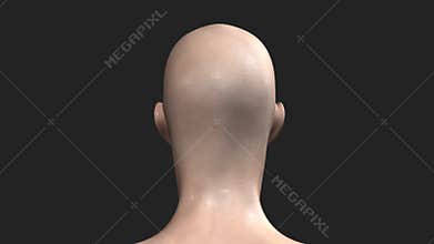 Human Face Intersection