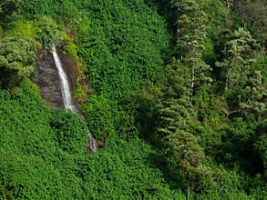 Hidden waterfall at Nuwara Eliya