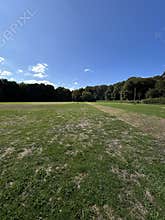 Wide sunlit park meadow with expansive blue sky, scattered clouds, tree line