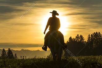 Cowboy riding across grassland with mountains in the background