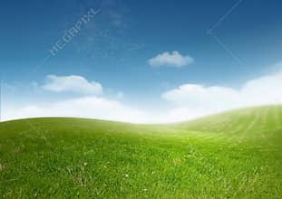 Beautiful Clean Landscape