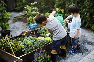 Group of kindergarten kids learning gardening outdoors