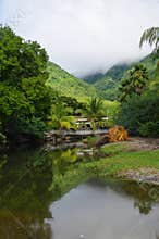 Grande Anse d`Arlet - Martinique