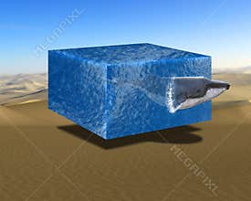 Surreal Nature, Wildlife, Whale, Desert