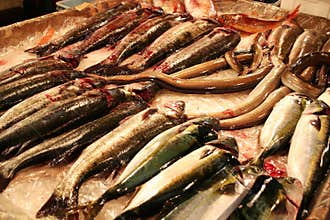 Fresh fish