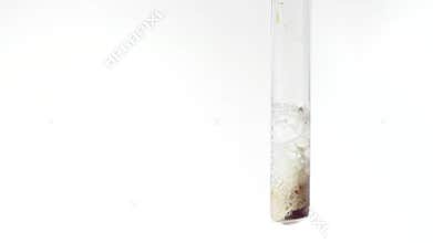 Interaction of chalk and sulfuric acid. Release of carbon dioxide. Close-up. Chemical reaction.