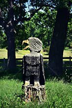 Bald Eagle Stump