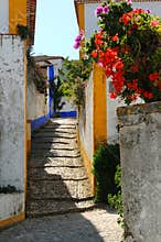 Portuguese alley and flowers