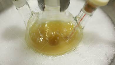 Experiment organic chemistry bubbles detail, extract from plants, science modern