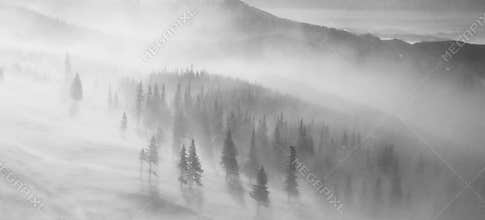 Heavy snow blizzard on mountain slope