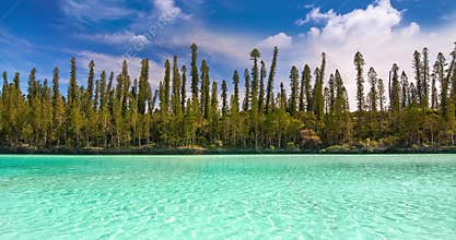 Seamless loop, Natural pool of Oro Bay, famous attraction in the Isle of Pines, New Caledonia