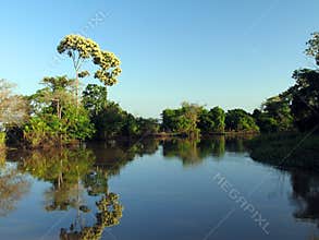 River in Amazonia
