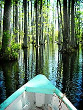 Boat on cypress swamp gardens North Carolina