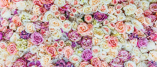Flowers wall background with amazing red and white roses, Wedding decoration, hand made