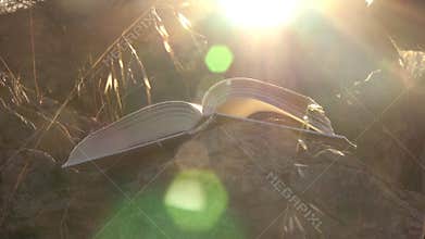 Open book with flipping pages at sunset