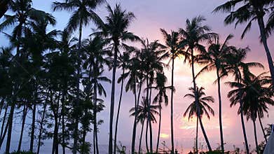 Aero view from drone on rice terraces of mountain and house of farmers. Bali, Indonesia