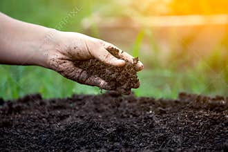 Soil in hand