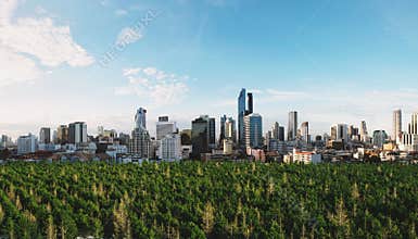 Modern buildings in the city with forests in the morning