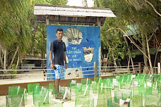 Sea turtles eggs baby nursery conservation project