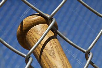 Baseball Bat