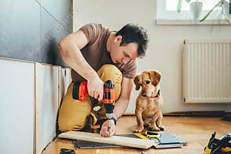 Man and his dog doing renovation work at home