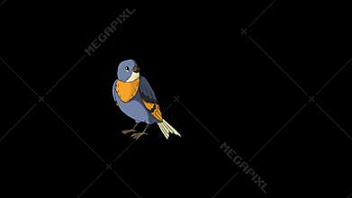Blue Bird Came Flying and Flies Away