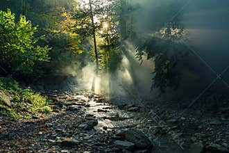 The sun`s rays make their way through the morning mist against the backdrop of a mountain river and a forest. Picturesque forest l