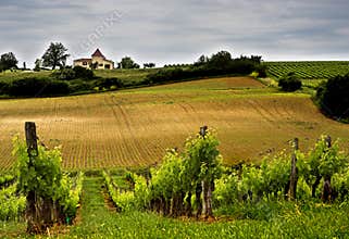 Winery