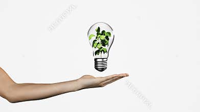 Hand presenting light bulb with growing plant