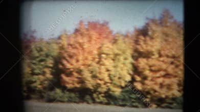 8mm Vintage - 60's Autumn Colors Pan