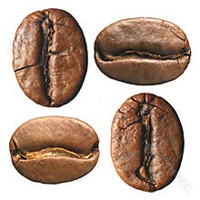 Composition of coffee beans