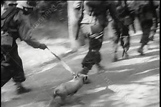 Rear view soldiers scattering from road