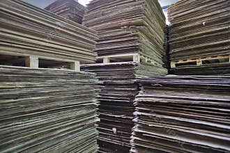 Cardboard - Paper Stock