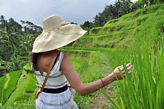 Woman with hat in rice field in Bali, luxury relaxation