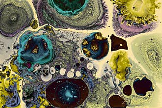 Chemical madness. Organic circular shapes. Liquid surface.