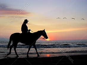 Lone rider