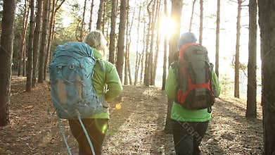 Hiking people - two hiker women walking in forest at sunny day