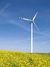 Windmill in yellow field