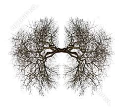 Tree lungs