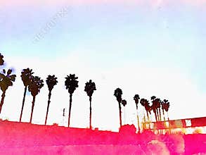 California Palm trees Los Angeles pink graphic watercolor background
