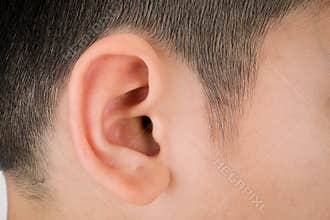 Asian Human ear closeup