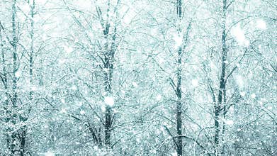 Mega extra big global snowfall loop tree winter