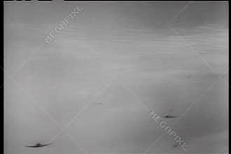 Military airplanes flying in the sky