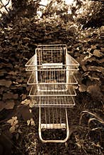 Shopping cart outside in ivy
