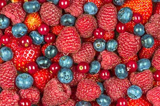 Mixed summer berries background