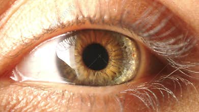 Eye iris contracting