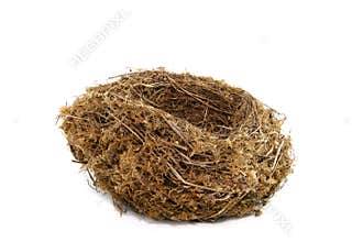 Natural Nest