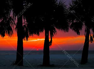 Clearwater Sunset