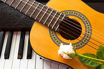 Pink rose on guitar.