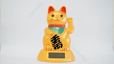 Oriental waving cat